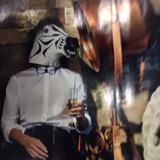 Popolare bella maschera di Halloween mascherata emulsione testa di cavallo maschera zebrata per uomini e donne, Zebra