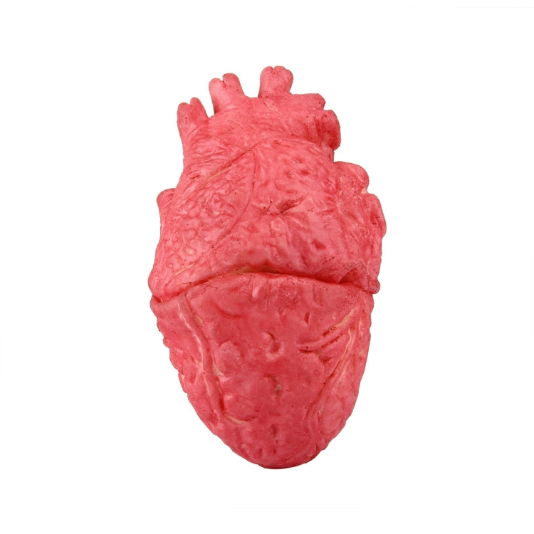 Cuore finto decorazione Halloween 15x9x7 cm