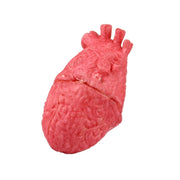 Popolare divertente puntelli di Halloween cuore falso, Fake Heart