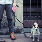Guinzaglio retrattile flessibile per cani/gatti da 5 m con motivo a pois rosa per passeggiate quotidiane, Pink Dot