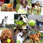 Lanciatore tennis per addestramento cani 52x19x9 cm