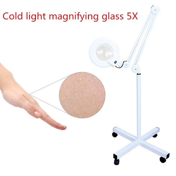 Lente d'ingrandimento da tavolo pieghevole 5X con lampada LED
