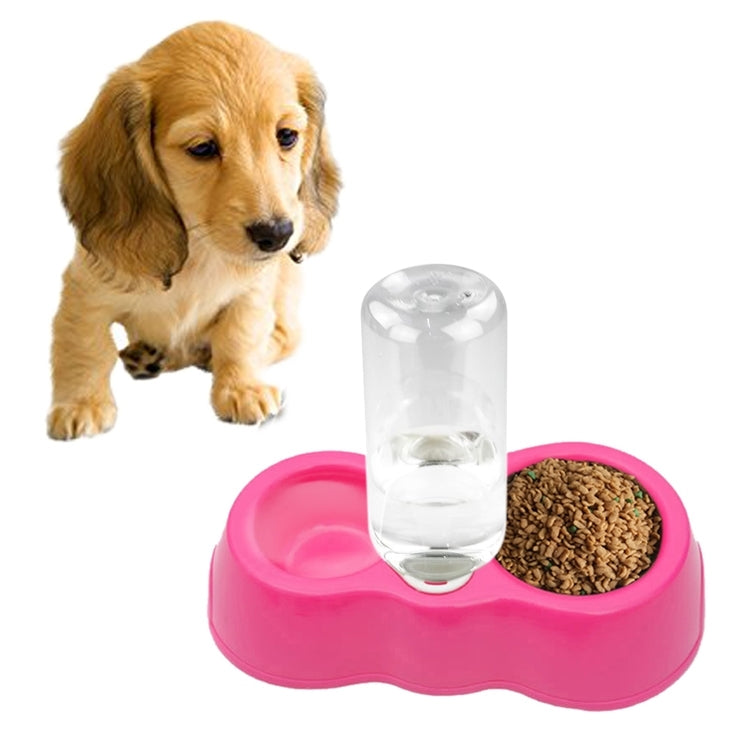 Piatto per cibo per cani e gatti + ciotole doppie per acqua potabile con distributore automatico di acqua