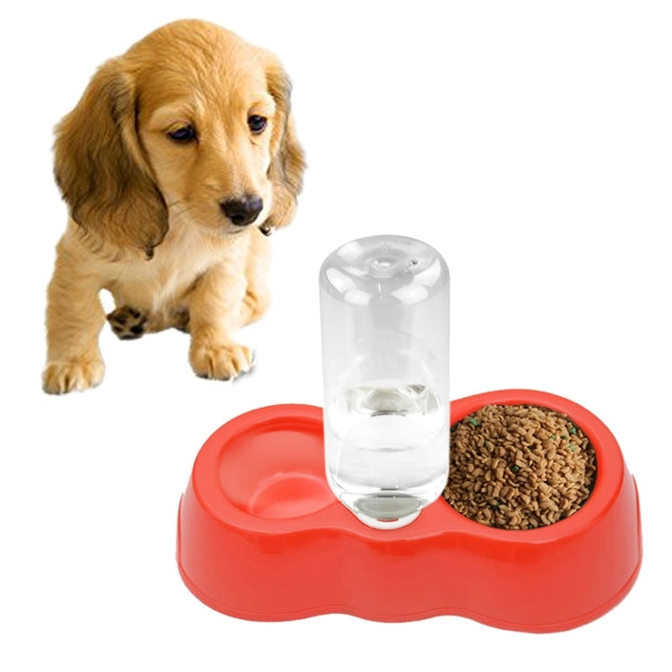 Piatto per cibo per cani e gatti + ciotole doppie per acqua potabile con distributore automatico di acqua