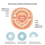 Scatola in legno per conservazione denti da latte bambini