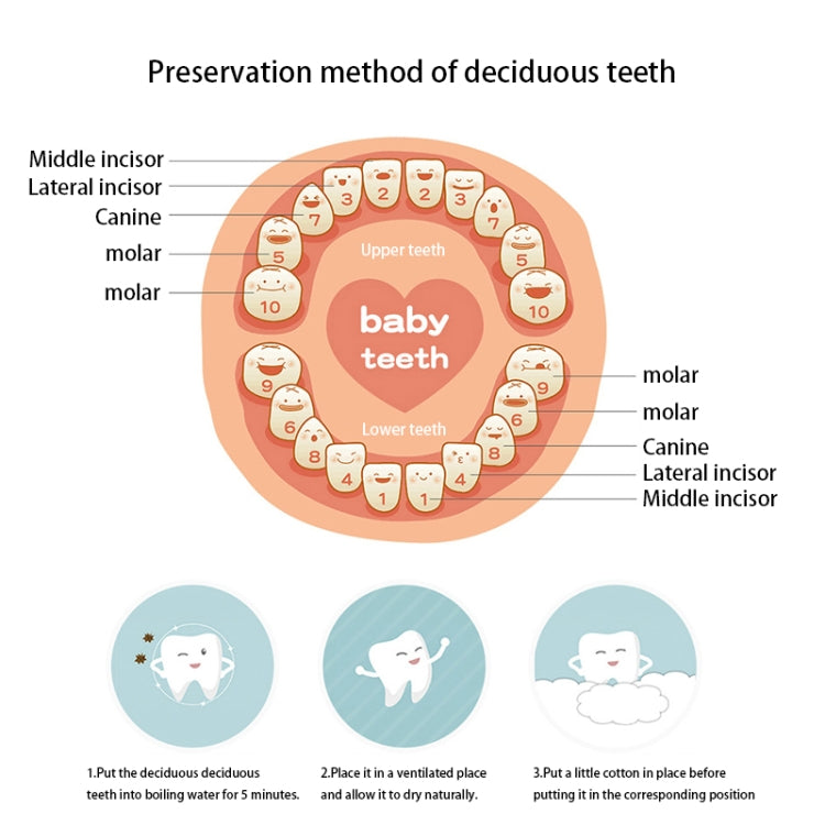 Scatola in legno per conservazione denti da latte bambini