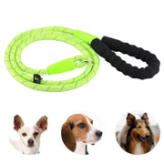 Guinzaglio leggero riflettente per addestramento di cani da compagnia con manico audace, Training Traction Rope