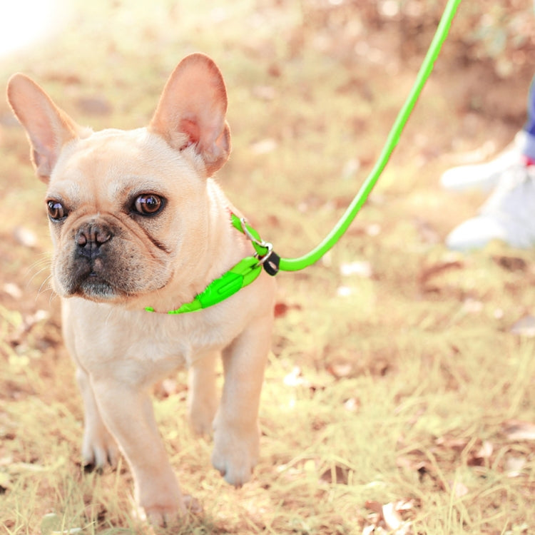 Guinzaglio leggero riflettente per addestramento di cani da compagnia con manico audace, Training Traction Rope