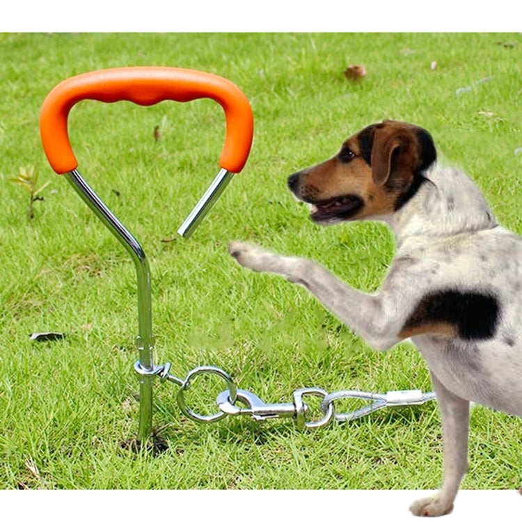 Chiodo a spirale 45cm x 9mm per addestramento cani