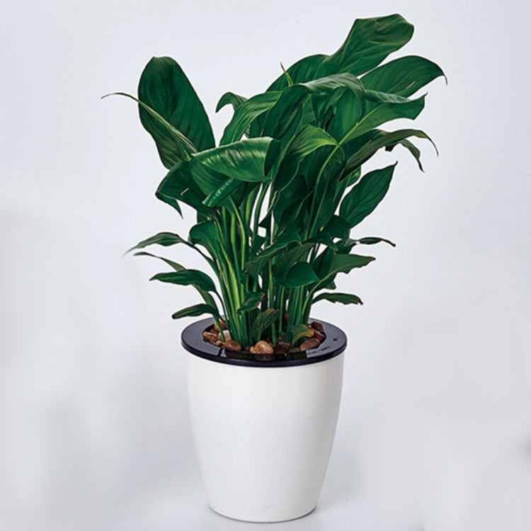 Vasi da fiori pigri Piante in vaso idroponiche ad assorbimento automatico dell'acqua Vasi da fiori in plastica circolare in resina Fioriera autoirrigante con design a doppio strato, Diametro: 11 cm, Altezza: 10,3 cm, Diameter: 11cm, Height: 10.3cm
