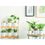 Vasi da fiori pigri Piante in vaso idroponiche ad assorbimento automatico dell'acqua Vasi da fiori in plastica circolare in resina Fioriera autoirrigante con design a doppio strato, Diametro: 11 cm, Altezza: 10,3 cm, Diameter: 11cm, Height: 10.3cm