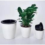 Vasi da fiori pigri Piante in vaso idroponiche ad assorbimento automatico dell'acqua Vasi da fiori in plastica circolare in resina Fioriera autoirrigante con design a doppio strato, Diametro: 11 cm, Altezza: 10,3 cm, Diameter: 11cm, Height: 10.3cm