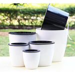 Vasi da fiori pigri Piante in vaso idroponiche ad assorbimento automatico dell'acqua Vasi da fiori in plastica circolare in resina Fioriera autoirrigante con design a doppio strato, Diametro: 11 cm, Altezza: 10,3 cm, Diameter: 11cm, Height: 10.3cm