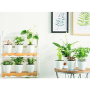 Vasi da fiori pigri Piante in vaso idroponiche ad assorbimento automatico dell'acqua Vasi da fiori in plastica circolare in resina Fioriera autoirrigante con design a doppio strato, Diametro: 13 cm, Altezza: 13,7 cm, Diameter: 13cm, Height: 13.7cm