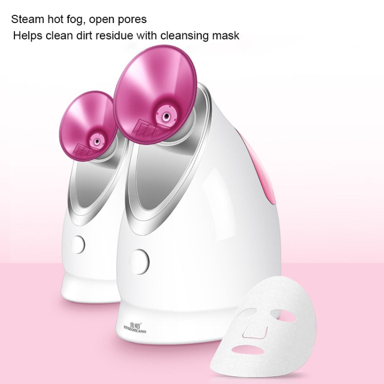 Dispositivo vaporizzazione viso Nano Spray KINGOMCARES