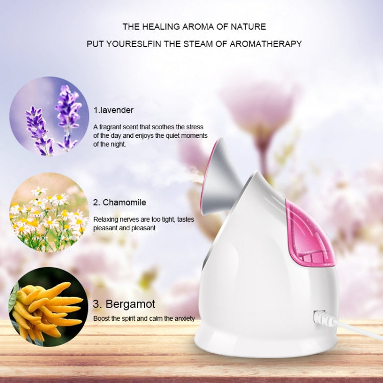 Dispositivo vaporizzazione viso Nano Spray KINGOMCARES