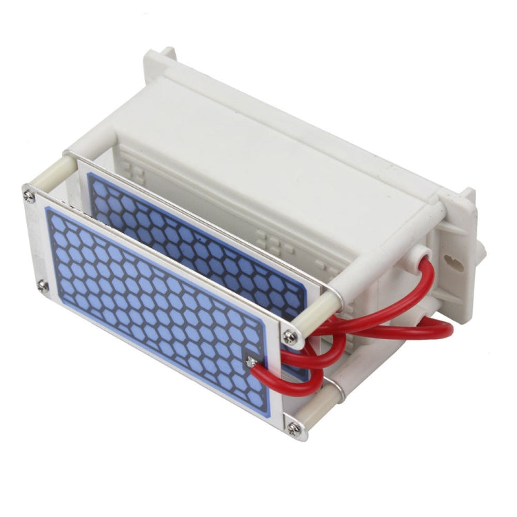 Generatore di ozono 10g DC 12V per sterilizzazione aria