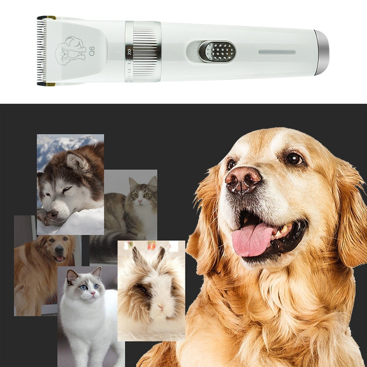 Rasoio elettrico per animali Q6 con quattro pettini e ricarica US
