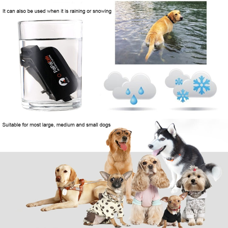 Collare antiabbaio automatico con scosse elettriche per cani