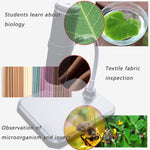 Microscopio digitale 1000X HD 1080P WiFi con 8 LED