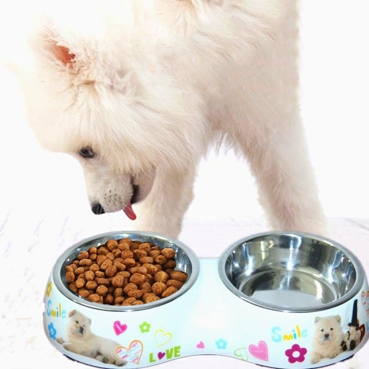 Ciotole doppie staccabili impermeabili in acciaio inossidabile con stampa di modelli di cartoni animati Ciotole per cani e gatti, dimensioni: L, 30,5 * 16 * 5,5 cm