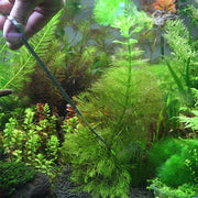 Forbici, pinzette e clip 3 in 1 in acciaio inossidabile, miniature di erba per piante di alberi, acquario, acquario, strumenti per rifinire il paesaggio, 3 PCS