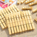 Mollette in bambù mini multifunzione 100 pezzi