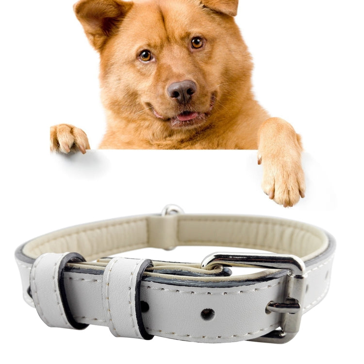 Collare per cani in pelle taglia XL 3x60 cm