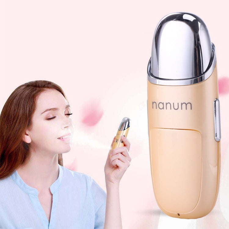 Nanum Massaggiatore e Umidificatore Nebulizzante Viso