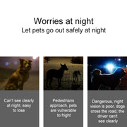 Ciondolo in silicone con collare di sicurezza per animali domestici con luce notturna a LED