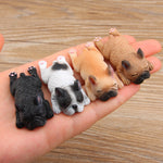 Decorazione per la casa Lovely Rrunk on Sleep Pasta per frigorifero con fibbia magnetica 3D Bulldog francese, French Bulldog  Magnetic