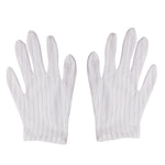 Guanti in plastica a strisce antistatiche da 10 paia, dimensioni: dimensioni libere, Plastic Gloves