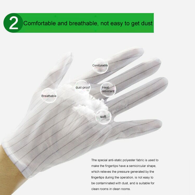 Guanti in plastica a strisce antistatiche da 10 paia, dimensioni: dimensioni libere, Plastic Gloves