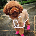 Scarpe impermeabili in gomma per cani taglia M 5x4 cm
