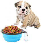 Ciotola da viaggio pieghevole per animali domestici portatile Ciotola da viaggio per cuccioli in silicone per acqua, consegna colore casuale, diametro della ciotola: 13 cm