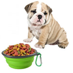 Ciotola da viaggio pieghevole per animali domestici portatile Ciotola da viaggio per cuccioli in silicone per acqua, consegna colore casuale, diametro della ciotola: 13 cm