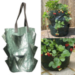 CMD-3 Borsa per piantare fragole in PE da appendere da 3 galloni Borsa per piantare fiori orticoli