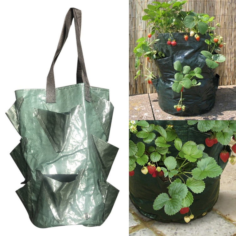 CMD-3 Borsa per piantare fragole in PE da appendere da 3 galloni Borsa per piantare fiori orticoli