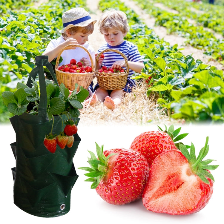 CMD-3 Borsa per piantare fragole in PE da appendere da 3 galloni Borsa per piantare fiori orticoli