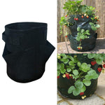 Borsa per piantare fragole in feltro non tessuto con 3 tasche, 18 litri/5 galloni, dimensioni: 23X28 cm, Size: 23X28cm