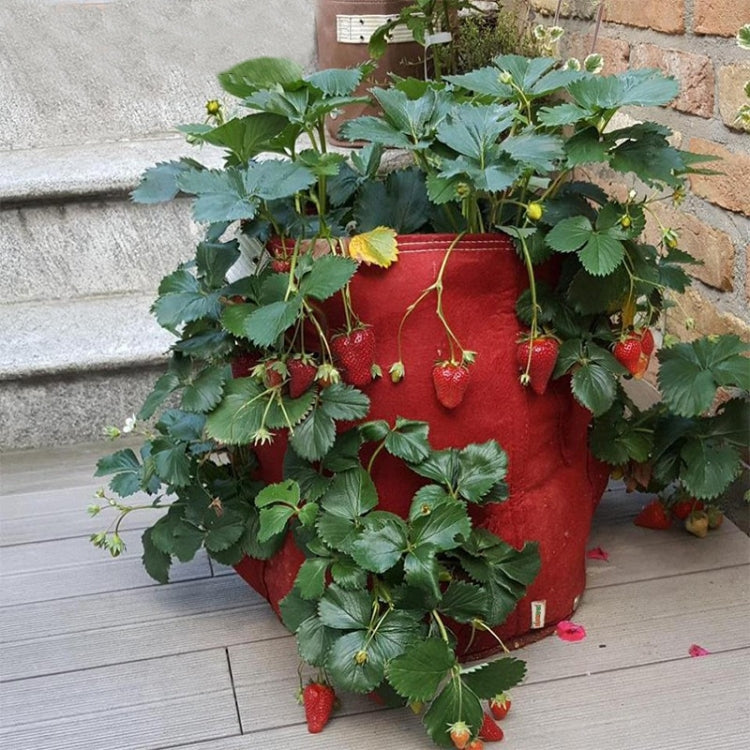 Borsa per piantare fragole in feltro non tessuto con 3 tasche, 18 litri/5 galloni, dimensioni: 23X28 cm, Size: 23X28cm