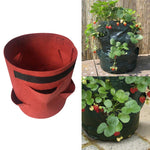 Borsa per piantare fragole in feltro non tessuto con 3 tasche, 18 litri/5 galloni, dimensioni: 23X28 cm, Size: 23X28cm