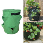 Borsa per piantare fragole in feltro non tessuto da 6 tasche, 26 litri/7 galloni, dimensioni: 30X35 cm, Size: 30X35cm