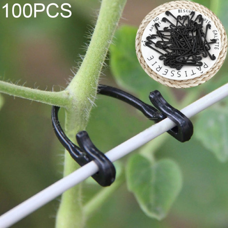 100 pezzi / 2 confezioni di cinghie per legare l'uva da giardinaggio, 100 PCS / 2 Packs