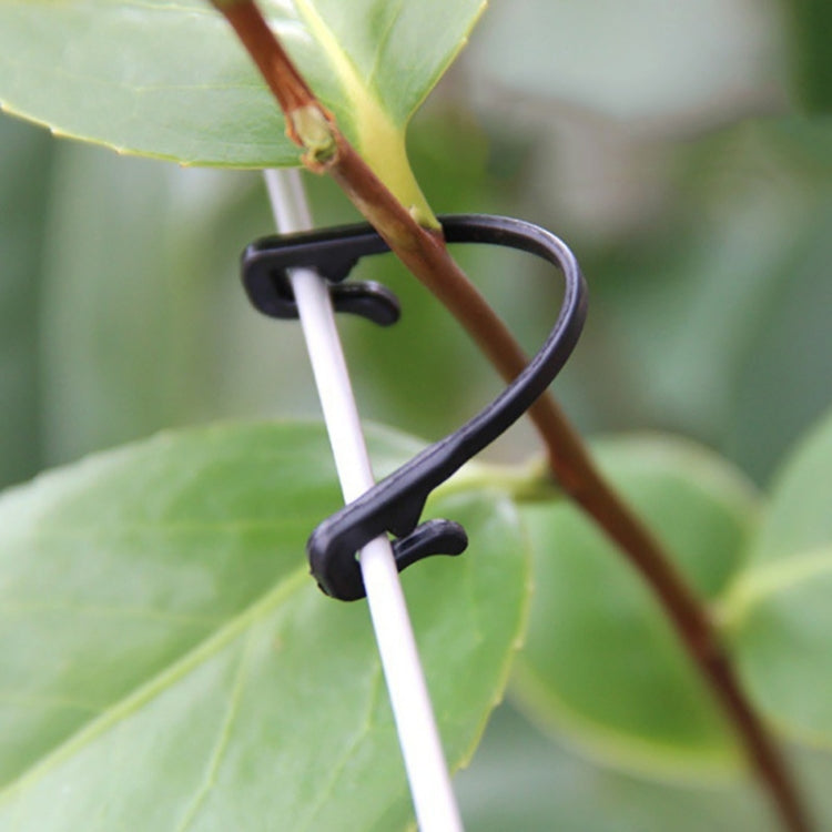 100 pezzi / 2 confezioni di cinghie per legare l'uva da giardinaggio, 100 PCS / 2 Packs