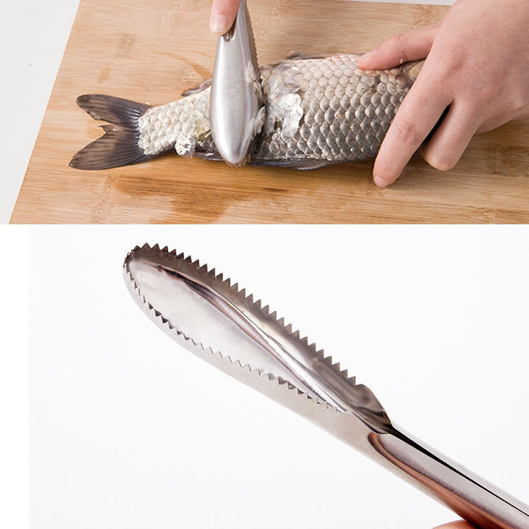 Coltello raschietto per squame di pesce in acciaio inox