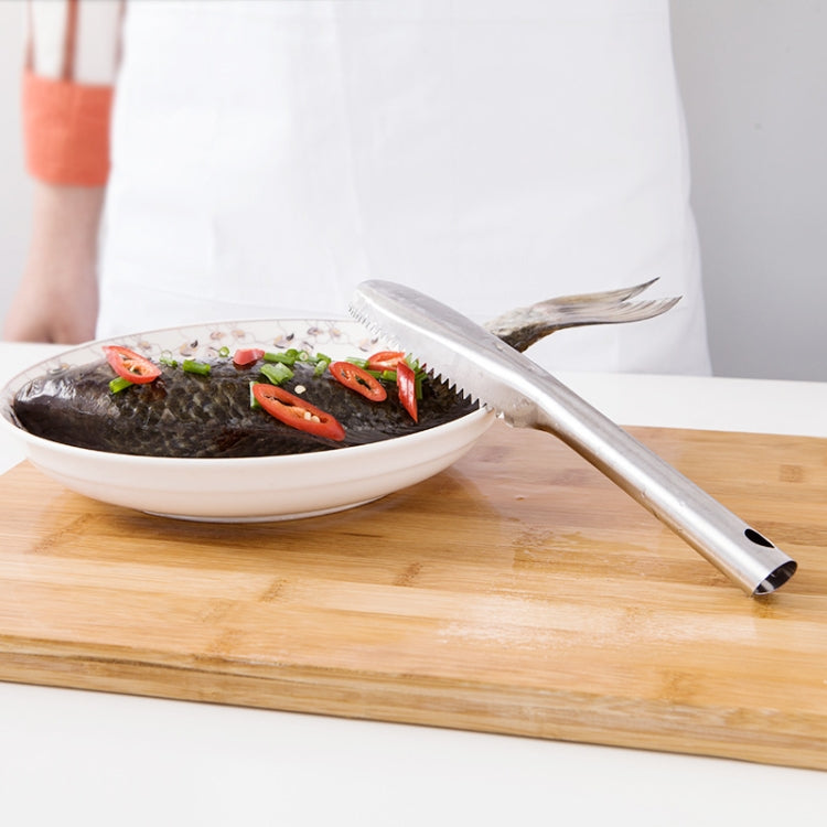 Coltello raschietto per squame di pesce in acciaio inox