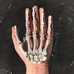 Un paio di mani di scheletro di Halloween, oggetti di scena per la decorazione della casa stregata, dimensioni: 15,5 x 10 cm, Skeleton Hands