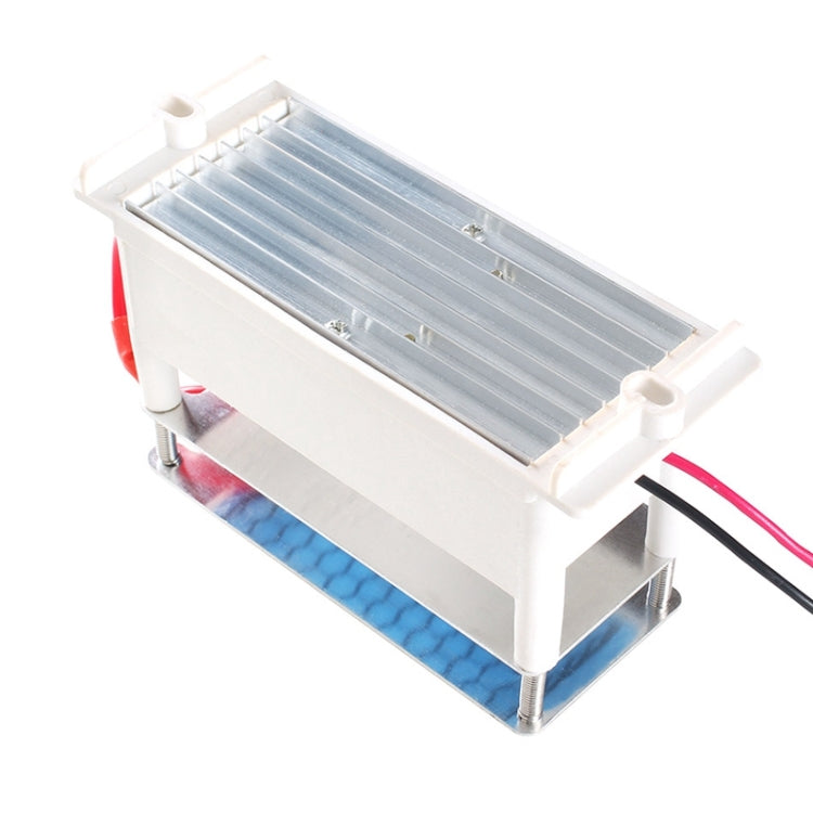 Purificatore d'aria 220V 10g con generatore di ozono integrato con piastra in ceramica ad alta temperatura, AC 220V 10G