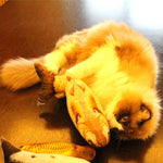 Simulazione Pesce Giocattolo Divertente Gatto Giocattolo Pesce Roba Tiragraffi Giocattolo da tavolo, Dimensioni ridotte: 21,5 x 8,0 x 5,0 cm, Size: 21.5x8.0x5.0cm